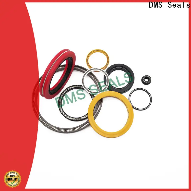 DMS Seals Best spring energized teflon seals cost for valves 1