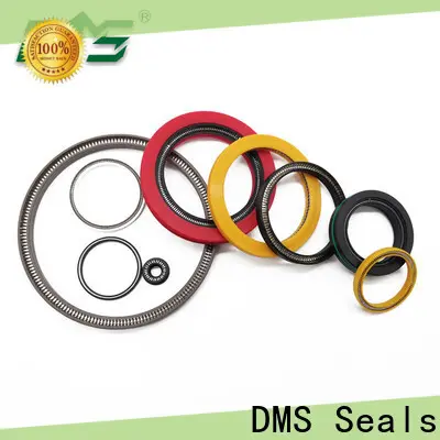 DMS Seals spring energized seals for choke lines 1