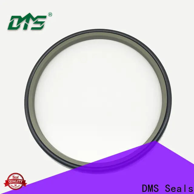 DMS Seals skf wiper seals vendor for agricultural hydraulic press 1