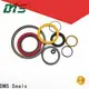 DMS Seals Latest energized seal for sale for cementing 1
