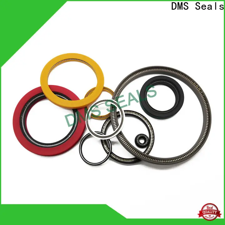 Professional spring energized ptfe seal for sale for valves 1