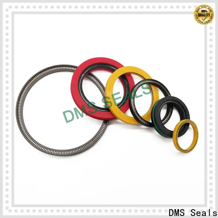 Custom made spring energized seals vendor for acidizing 1