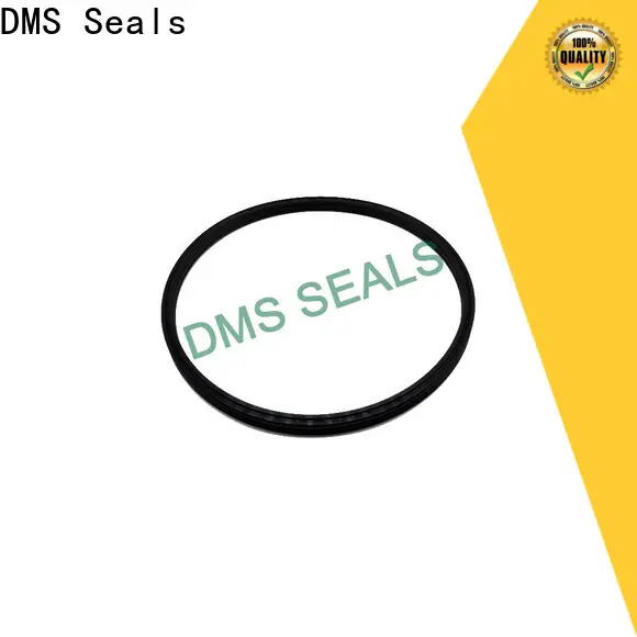 DMS Seals shaft seals for pumps supplier for piston and hydraulic cylinder 1