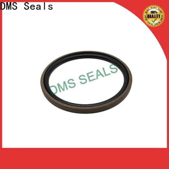 DMS Seals New hydraulic cylinder seals and wipers supplier for sale 1