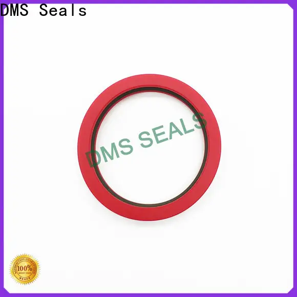 DMS Seals High-quality rubber seals for fluid and hydraulic systems cost for pressure work and sliding high speed occasions 1