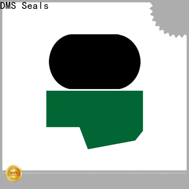 DMS Seals Wholesale shaft wiper seal manufacturer to high and low speed 1