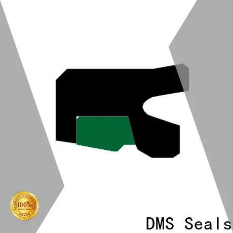 DMS Seals cheap oil seals supplier for sale 1