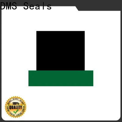 Best rod seal kit company for sale 1