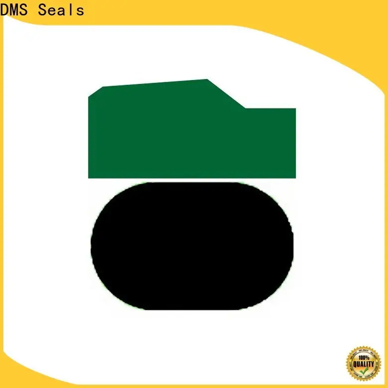 DMS Seals piston seal hydraulic supply for light and medium hydraulic systems 1