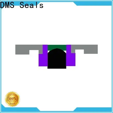 DMS Seals New piston seal manufacturers manufacturer for pneumatic equipment 1