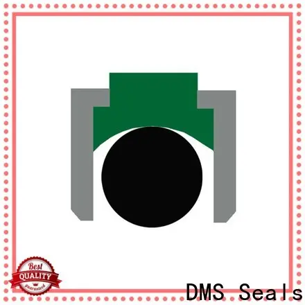 DMS Seals High-quality hydraulic seals & supplies inc company for light and medium hydraulic systems 1