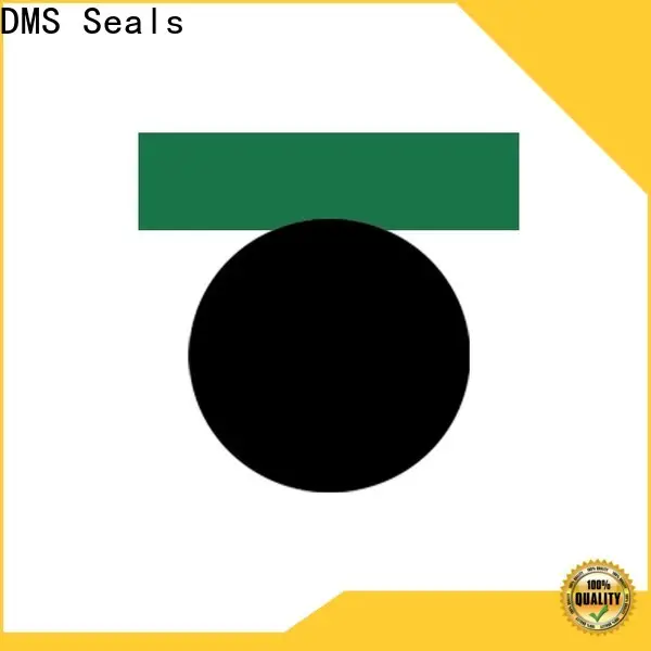 DMS Seals hydraulic pump seals suppliers for light and medium hydraulic systems 1