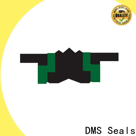 DMS Seals hydraulic rod wipers cost for sale 1