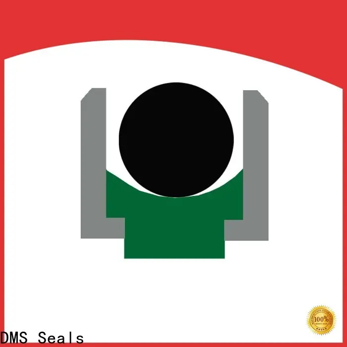 DMS Seals rod seal catalogue company for pressure work and sliding high speed occasions 1