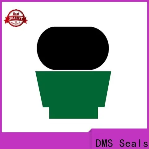 DMS Seals high end rod seals supply for sale 1