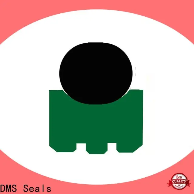 DMS Seals labyrinth seal catalogue supply for automotive equipment 1