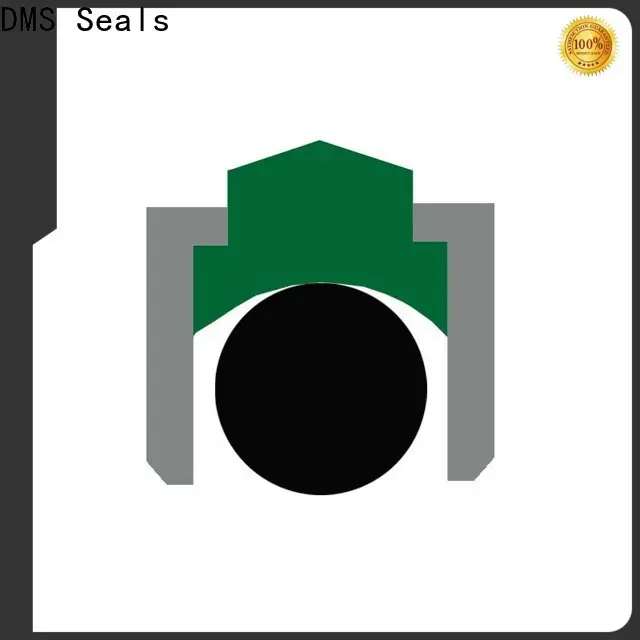 DMS Seals rotary shaft seal manufacturers price for automotive equipment 1