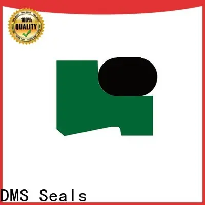 DMS Seals cylinder oil seal factory for injection molding machines 1
