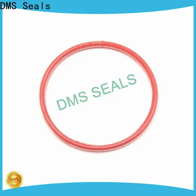 DMS Seals rubber o rings ace hardware supply in highly aggressive chemical processing 1