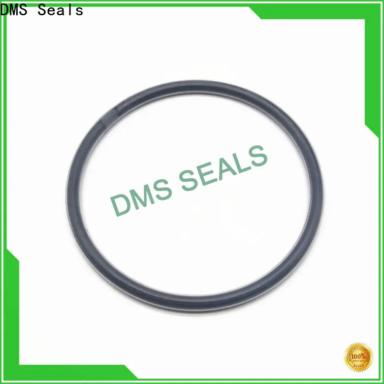 DMS Seals 4.5 inch o ring in highly aggressive chemical processing 1