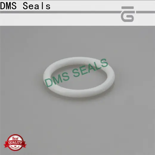 DMS Seals ring o x3 wholesale in highly aggressive chemical processing 1