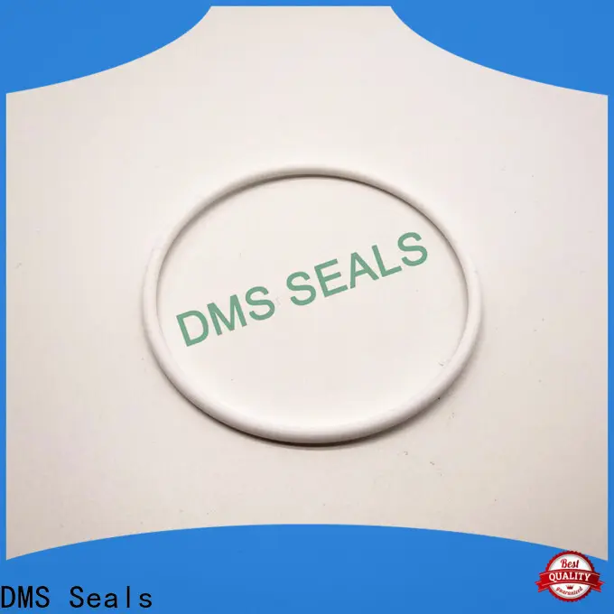 DMS Seals rubber o ring 5mm company in highly aggressive chemical processing 1
