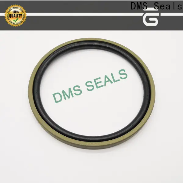 Professional piston seals 1
