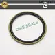 Professional piston seals 1