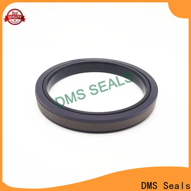 DMS Seals mechanical seals pune factory for larger piston clearance 1