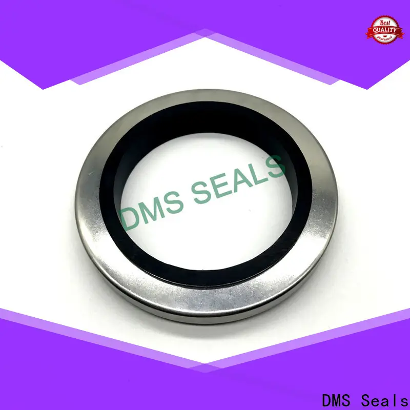 DMS Seals waterproof shaft seal manufacturer for low and high viscosity fluids sealing 1