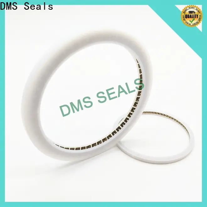 DMS Seals Top oil seal manufacturer wholesale for reciprocating piston rod or piston single acting seal 1