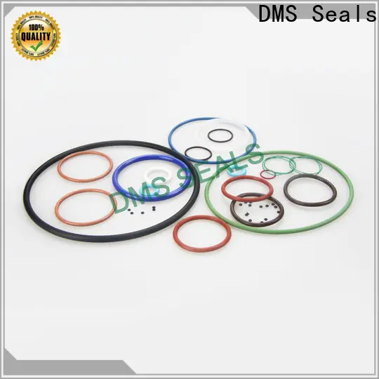 Latest giant o ring vendor in highly aggressive chemical processing 1