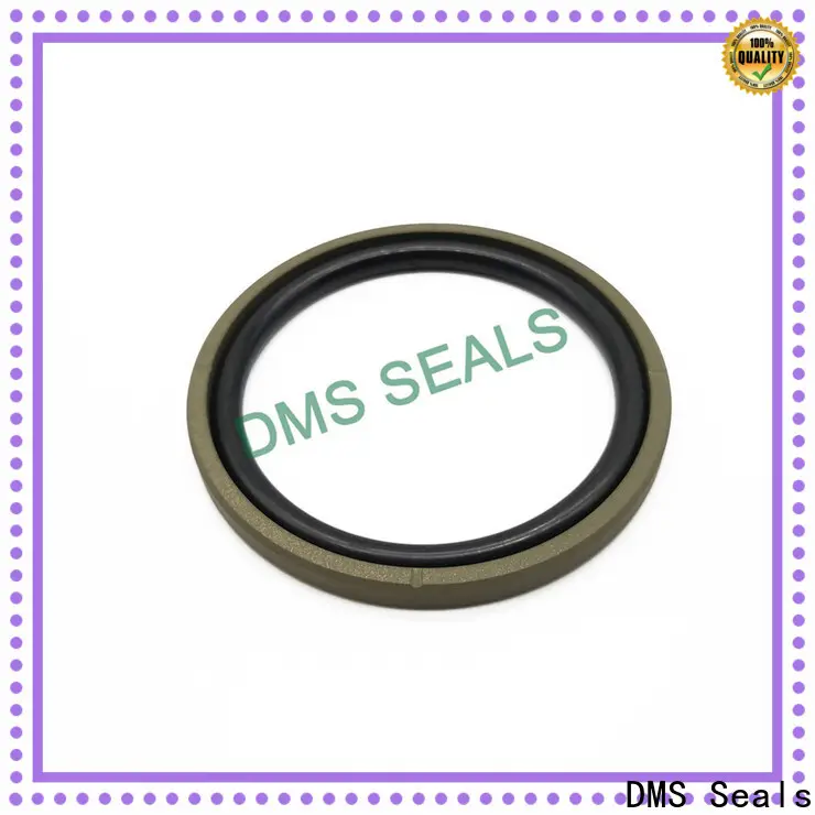 DMS Seals hydraulic seal design price for light and medium hydraulic systems 1