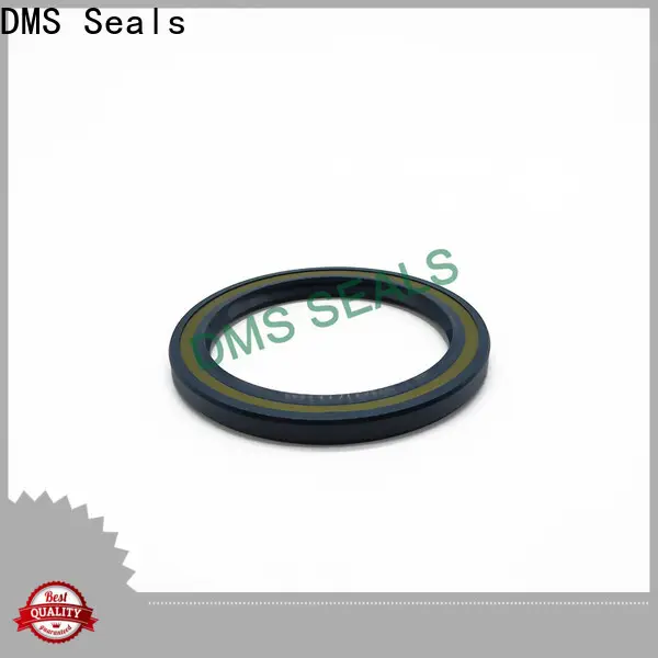 DMS Seals High-quality super oil seal wholesale for low and high viscosity fluids sealing 1