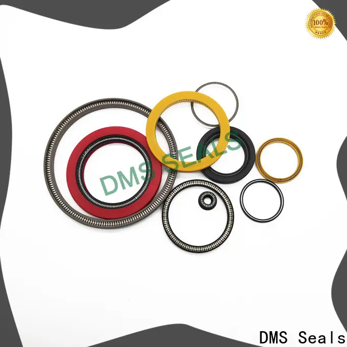 DMS Seals spring seals vendor for reciprocating piston rod or piston single acting seal 1