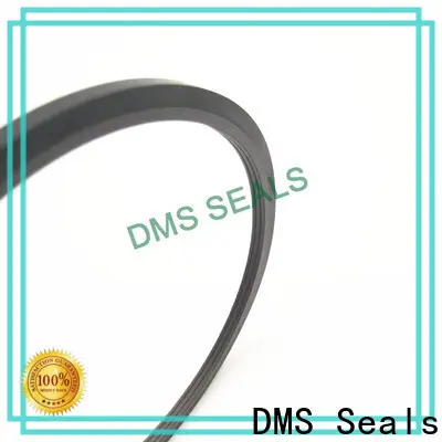 DMS Seals lead seals suppliers cost for piston and hydraulic cylinder 1