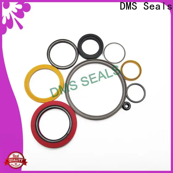 Custom made spring energized teflon seals supplier for fracturing 1