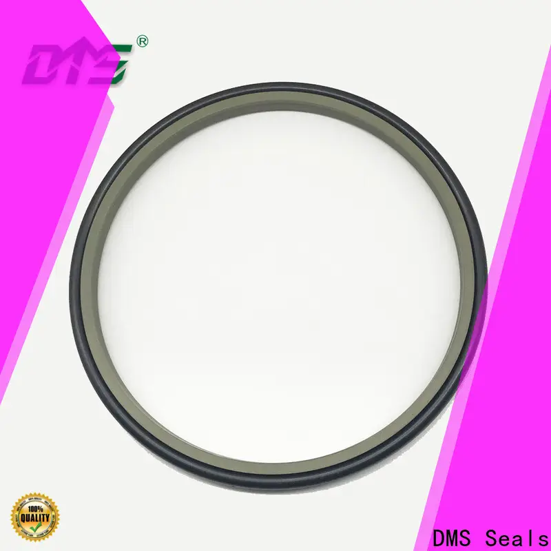DMS Seals Bulk buy wiper seal material supplier for hydraulic cylinder 1