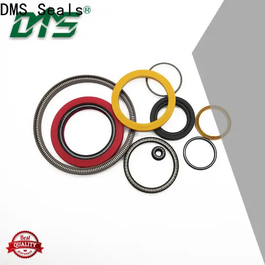 DMS Seals spring energised seal manufacturer for valves 1