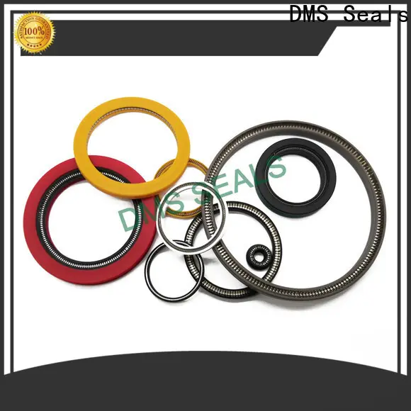 Buy spring energized seals company for fracturing 1
