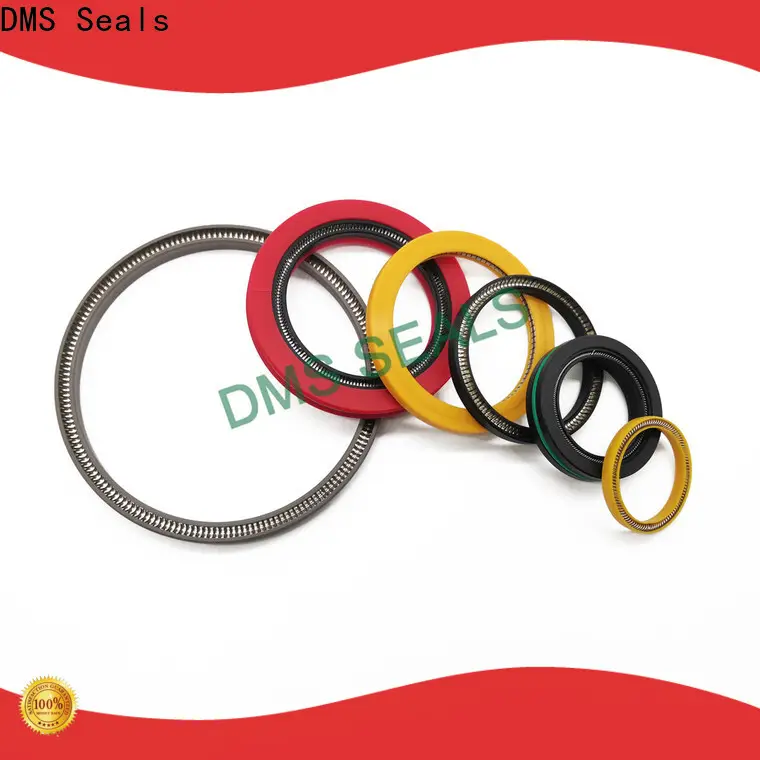 DMS Seals High-quality energized seal factory for valves 1