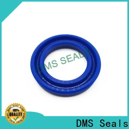 DMS Seals buy mechanical seal for larger piston clearance 1