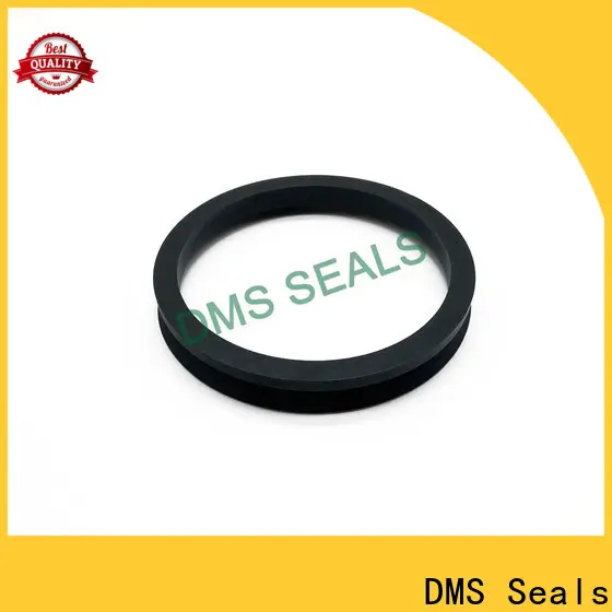 DMS Seals hydraulic packing kits cost for pressure work and sliding high speed occasions 1
