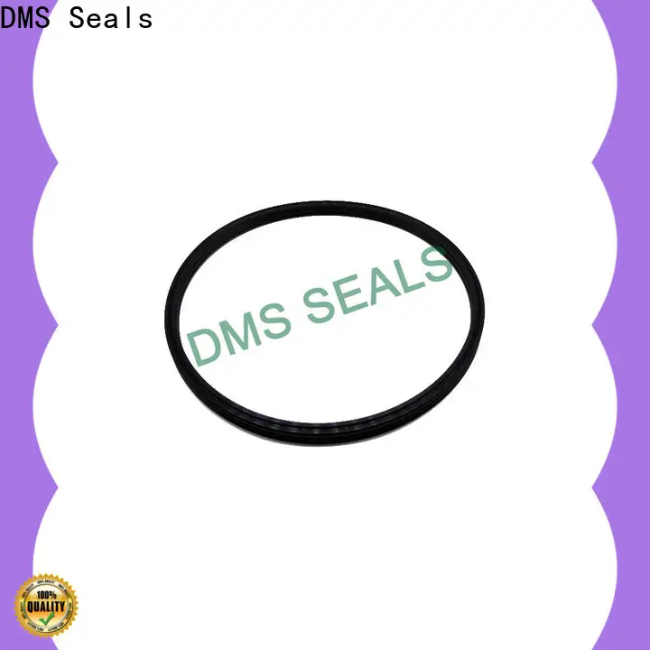 DMS Seals rubber seals and gaskets suppliers supply for piston and hydraulic cylinder 1