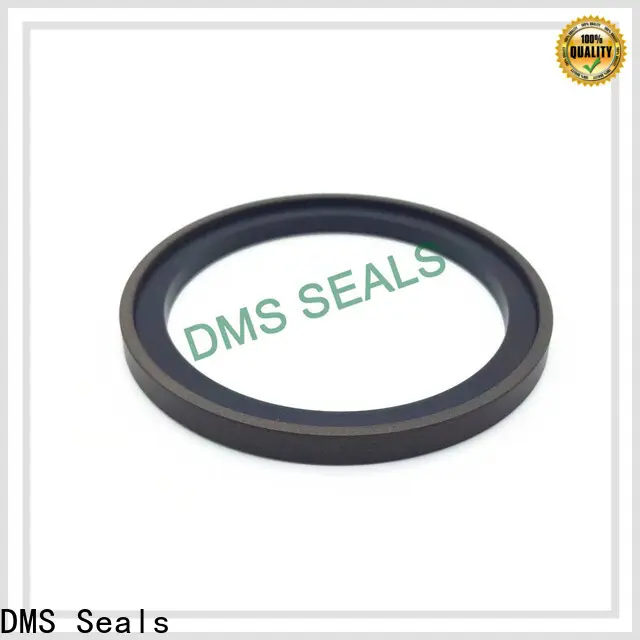 DMS Seals hydraulic piston seal installation manufacturer for pneumatic equipment 1