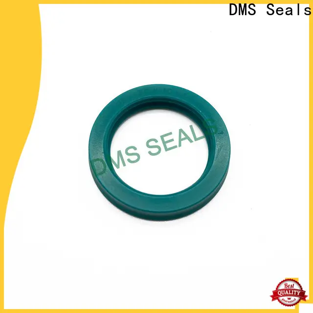 DMS Seals Custom made pump seal manufacturers vendor for piston and hydraulic cylinder 1