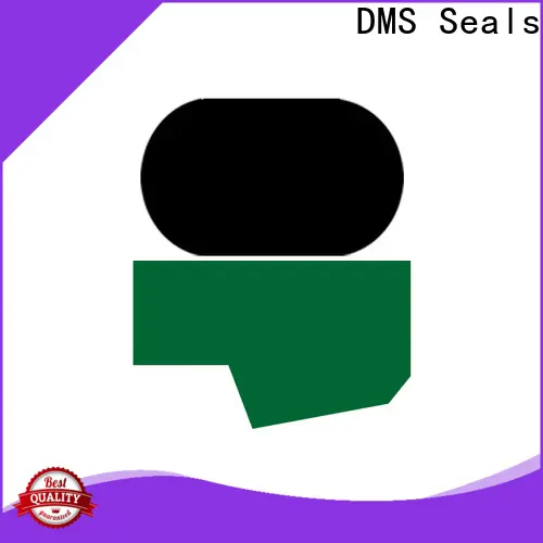 DMS Seals New hydraulic cylinder piston seal leakage company for sale 1