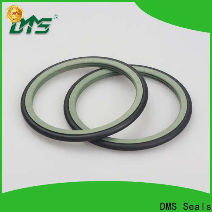 DMS Seals Best dripless shaft seal replacement cost for construction machinery 1