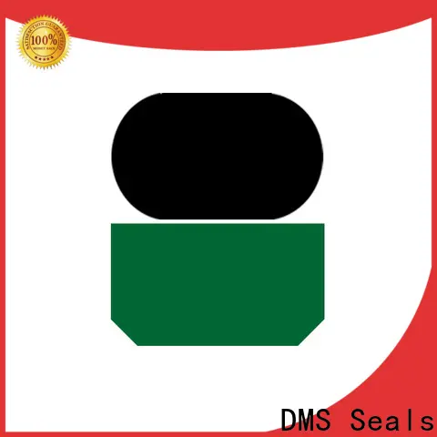 DMS Seals high end hydraulic rubber seal supplier for pressure work and sliding high speed occasions 1