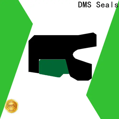 DMS Seals Custom cheap oil seals supply for sale 1